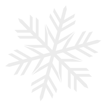 wanninger schneeflocke neu