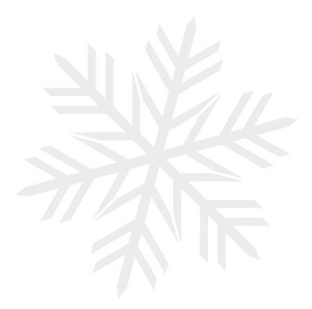 wanninger schneeflocke neu